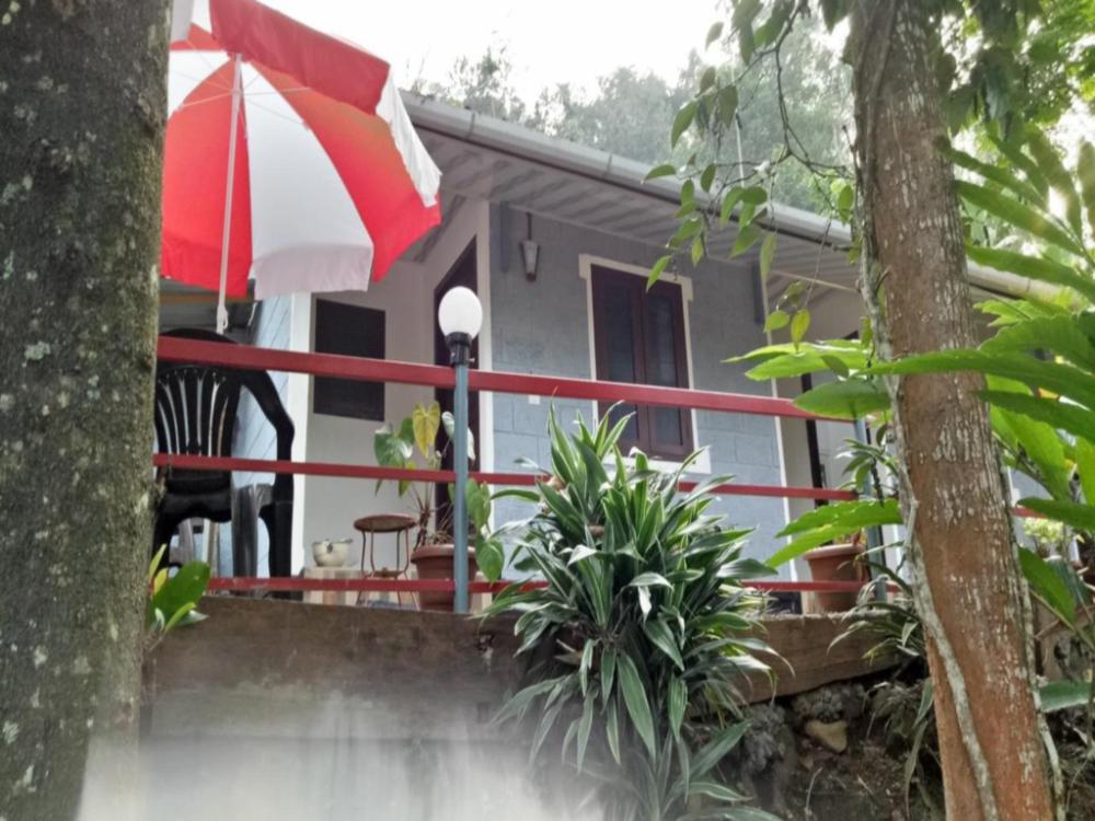 the wayside farm cottage munnar