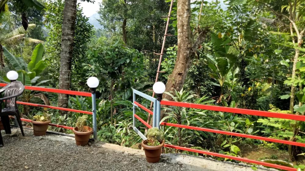 the wayside farm cottage munnar