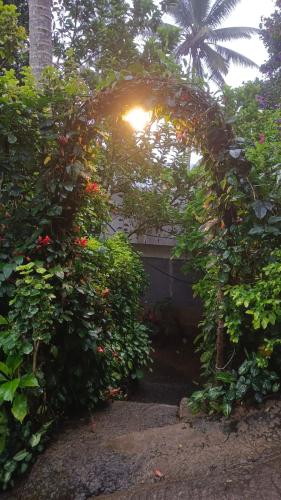 the wayside farm cottage munnar