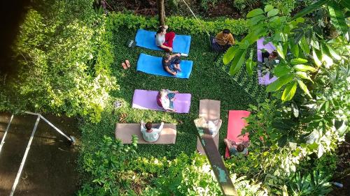 the wayside farm cottage munnar