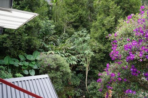 the wayside farm cottage munnar