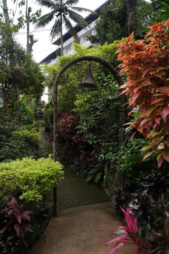 the wayside farm cottage munnar