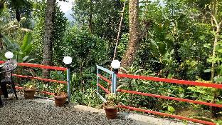 the wayside farm cottage munnar