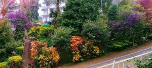 the wayside farm cottage munnar