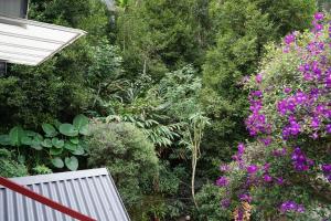 the wayside farm cottage munnar