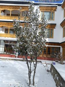 rock castle residency