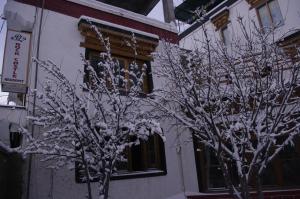 rock castle residency