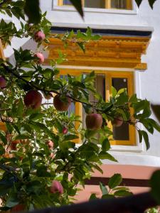 rock castle residency