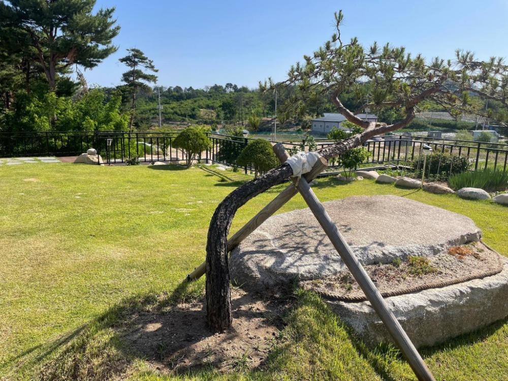 goseung luceluna pension