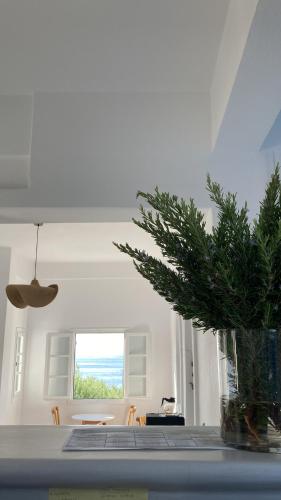 paros