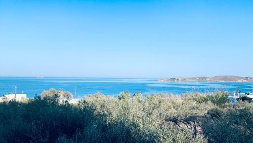 paros