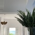 paros five senses