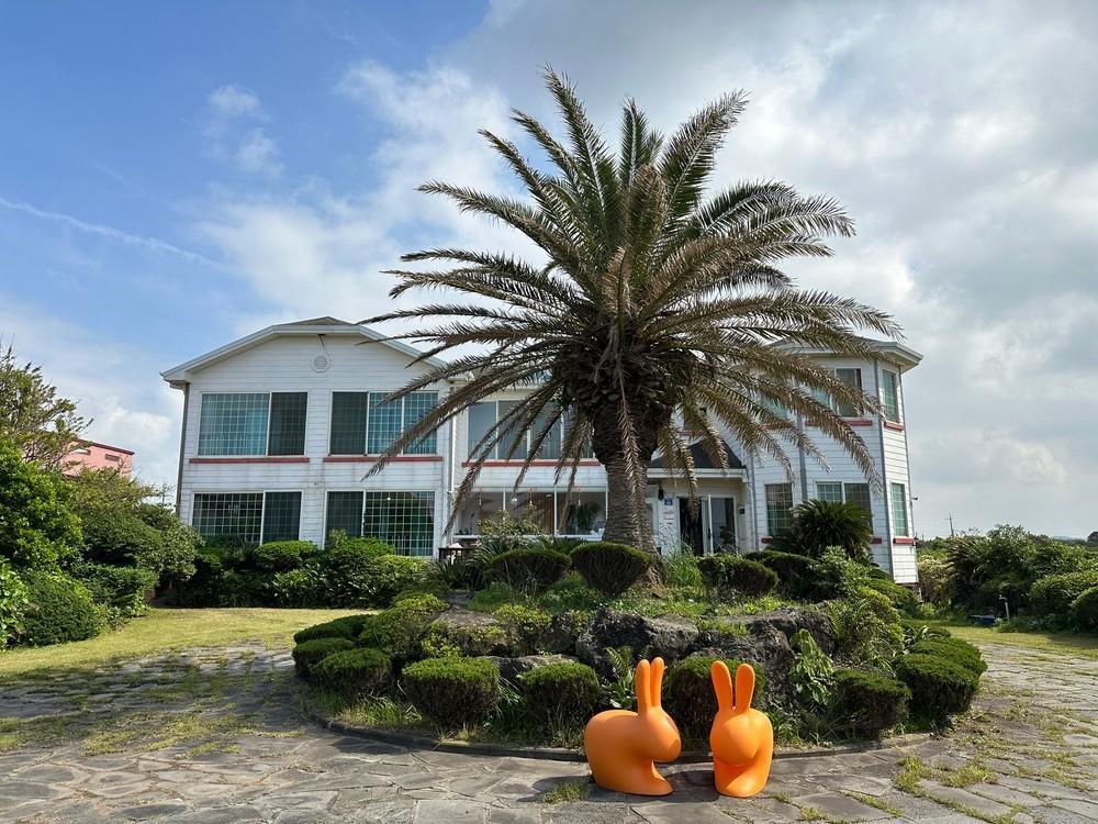 jeju ddoolle pension