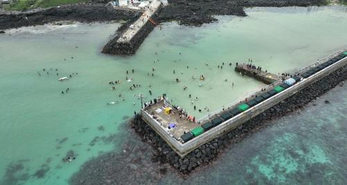 jeju ddoolle pension