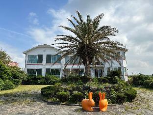 jeju ddoolle pension