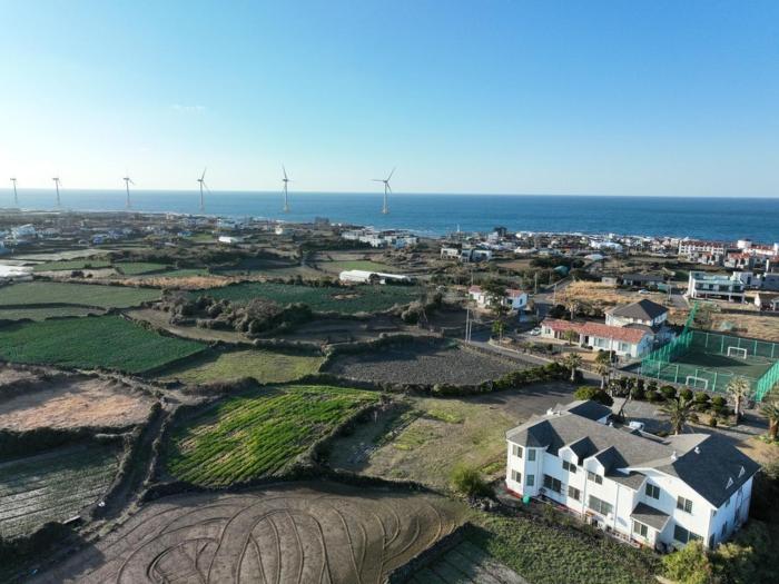 jeju ddoolle pension