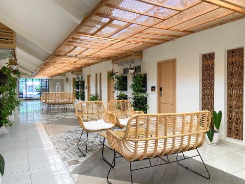 masri living by daphna international