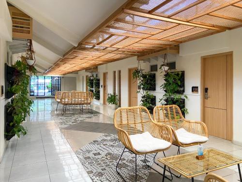 masri living by daphna international