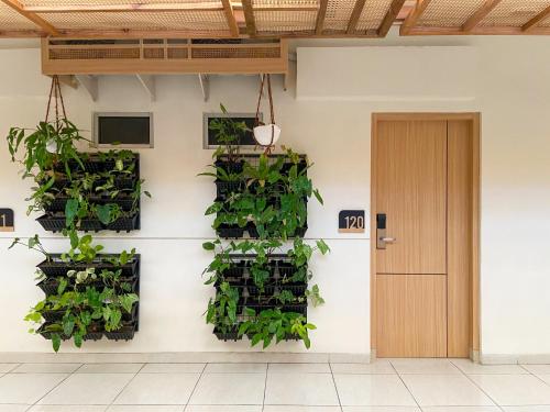 masri living by daphna international