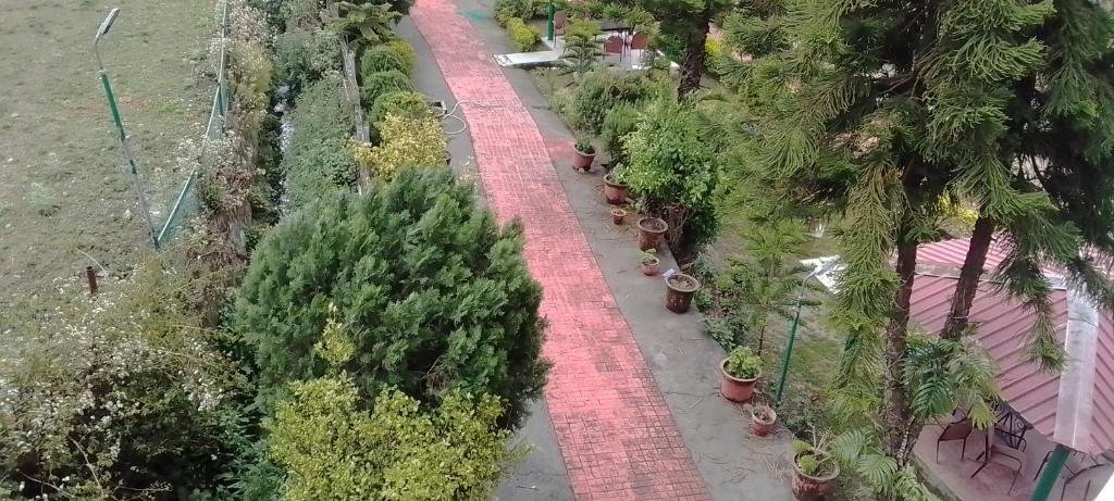 nainital