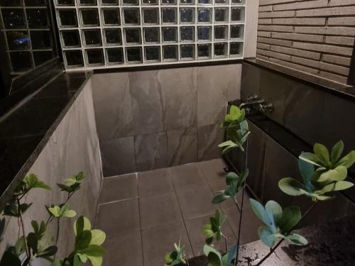jeju ianstay