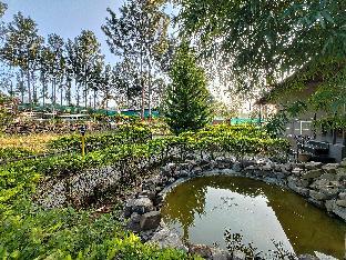 Peacevalleyresort,India>>Ooty,3 star