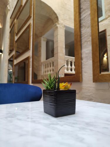 mulberry suites