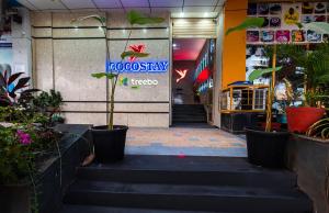 treebo trend cocostay