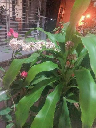 my dinh apartment