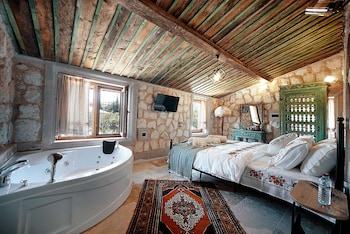aysel inn house