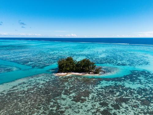 niu beach hotel moorea