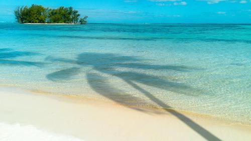 moorea maiao