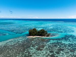 niu beach hotel moorea