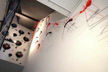 soho piaggiarelle by dasso