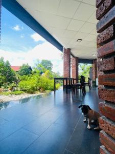 hy vien boutique and garden