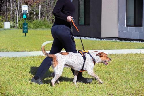 waterwalk jacksonville deerwood park