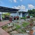 oyo home 90851 rb homestay and farms 2