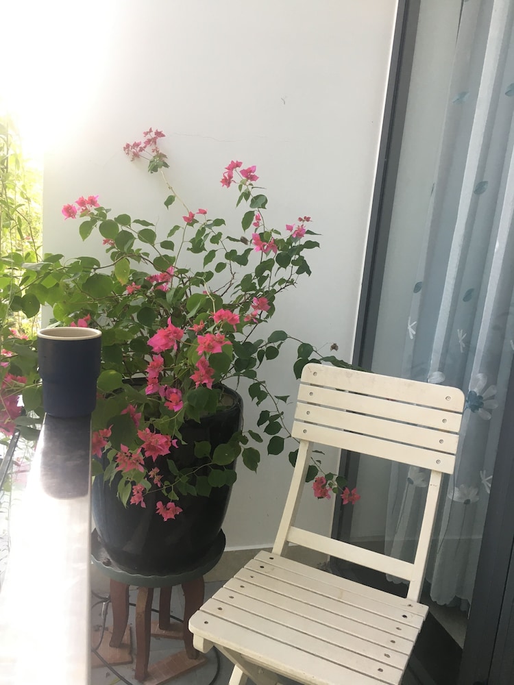 la gai homestay hoi an