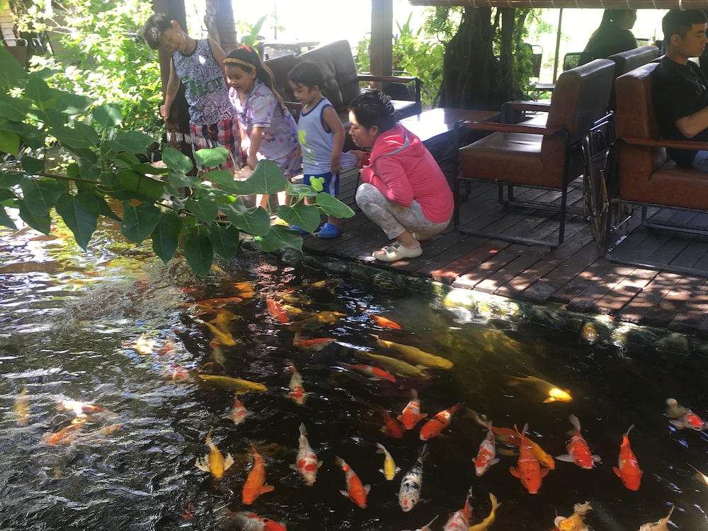 la gai homestay hoi an