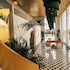 hotel estefania boutique suites