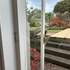 koroit