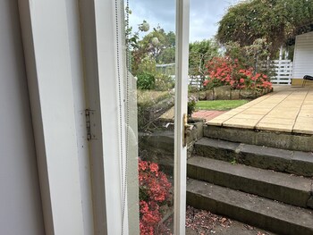 koroit