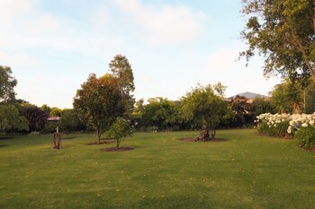 koroit