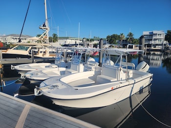 yacht haven