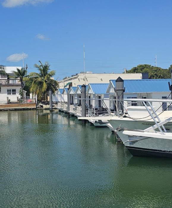 yacht haven