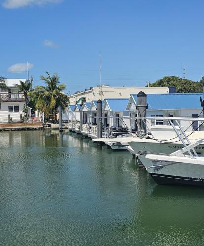 yacht haven