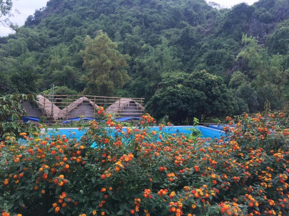 catba papillon garden bungalow and resort