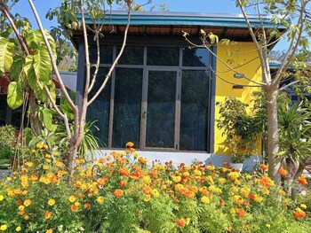 catba papillon garden bungalow and resort