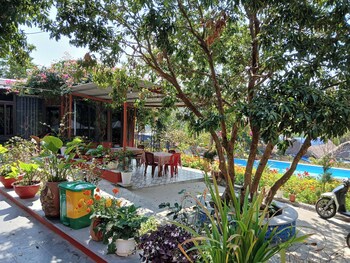 catba papillon garden bungalow and resort