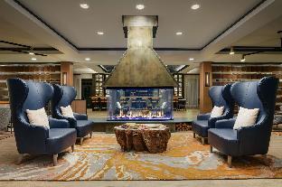 the hoffmann hotel basalt aspen tapestry collection by hilton